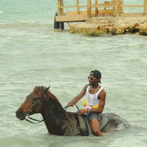 Meet your Posher, Young